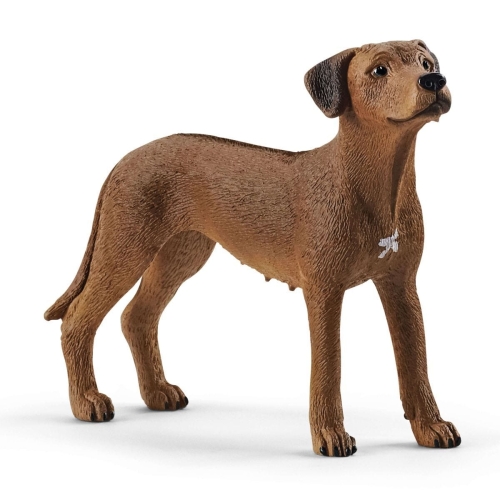 Schleich 13895 Rhodesische Ridgeback