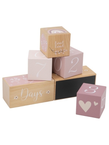 Label Label Milestone Blocks Pink