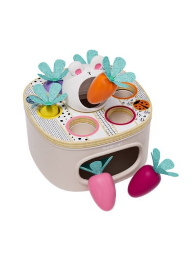 Topbright Speelset Match &amp; Sort Carrots