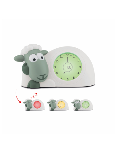 Zazu Slaaptrainer Sam Groen